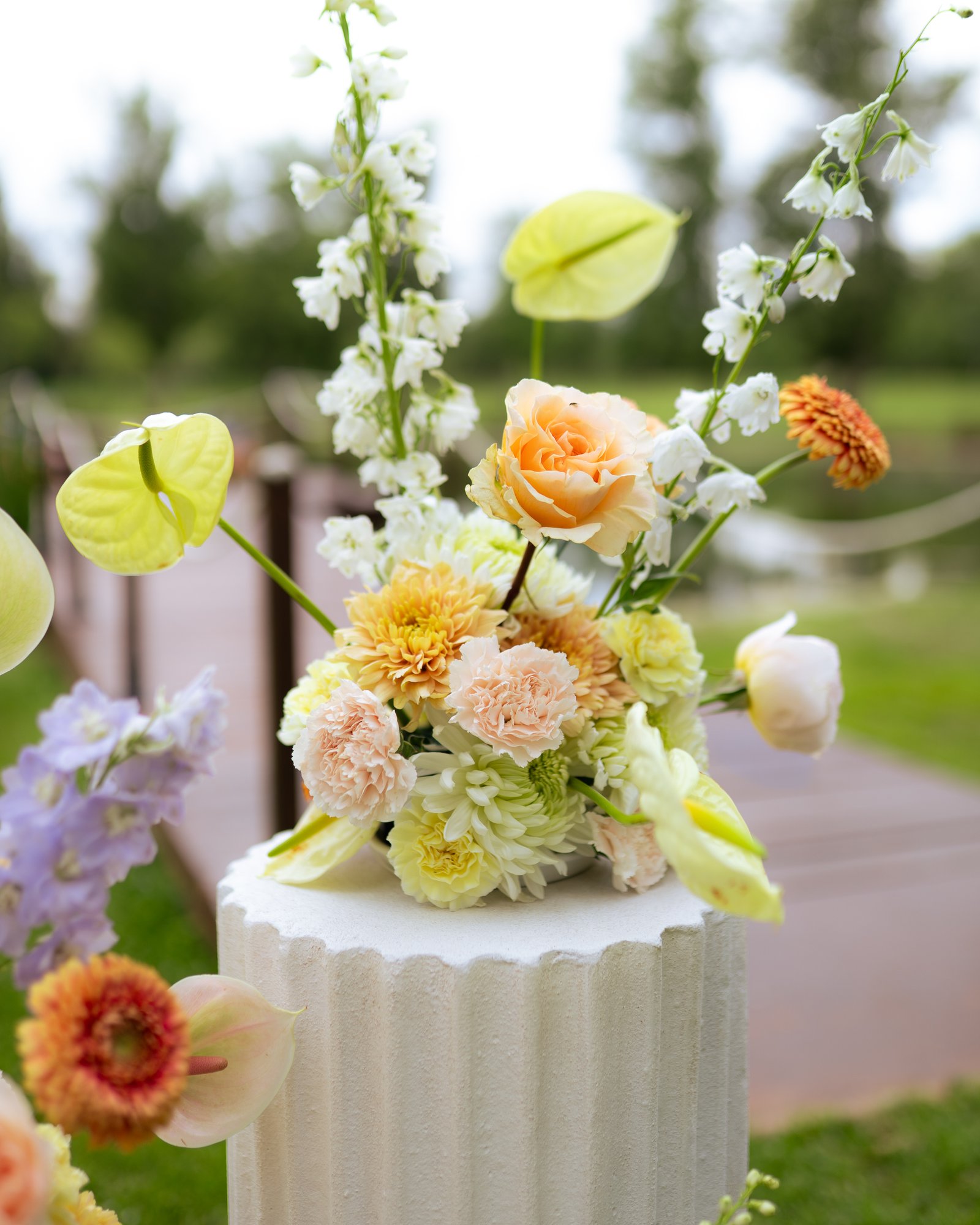 Photo du mariage